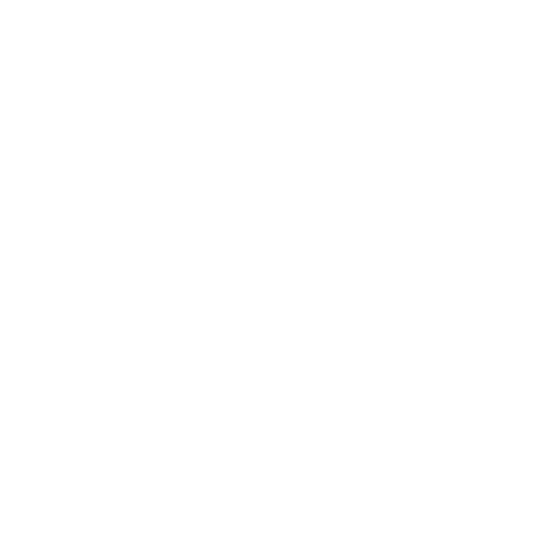 alert icon